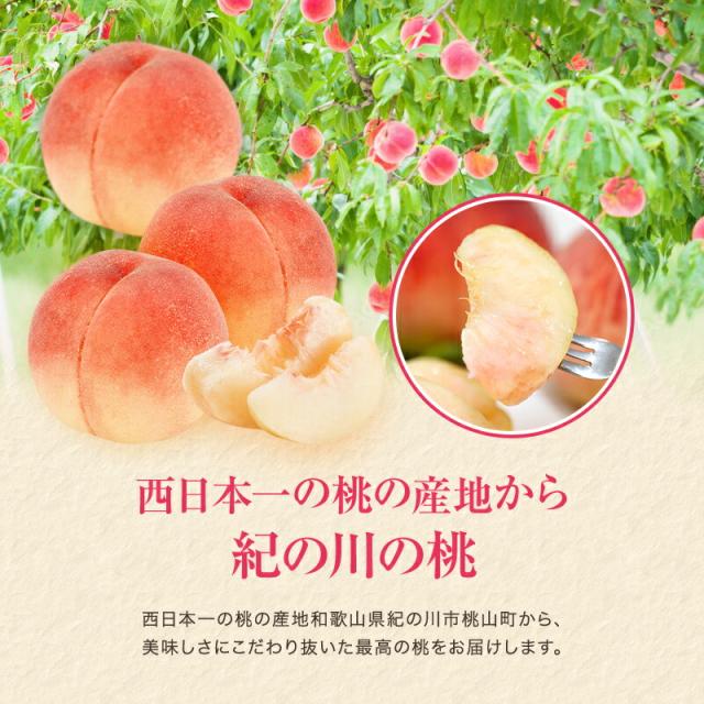 紀の川の桃