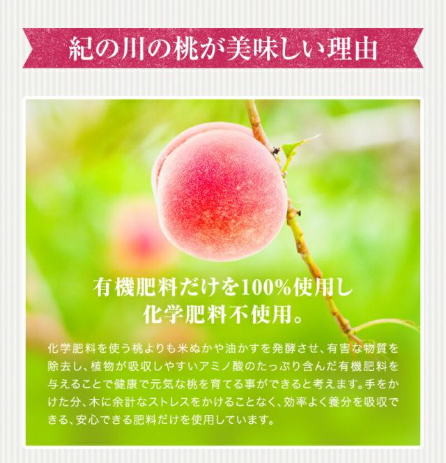 紀の川の桃