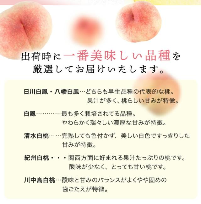 紀の川の桃