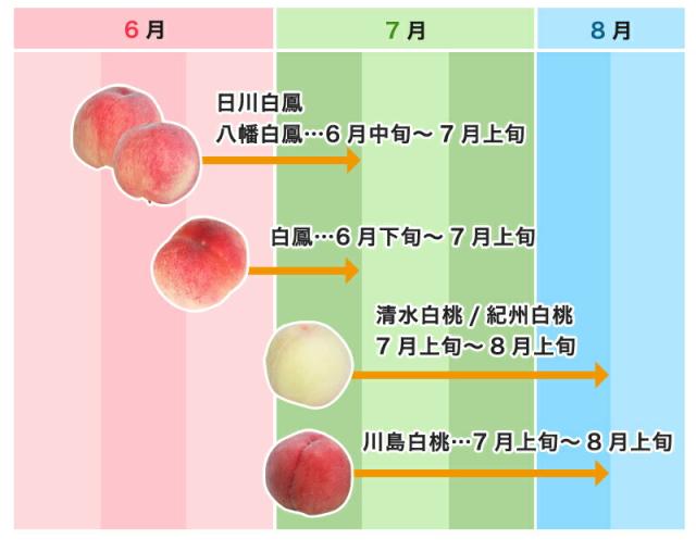 紀の川の桃