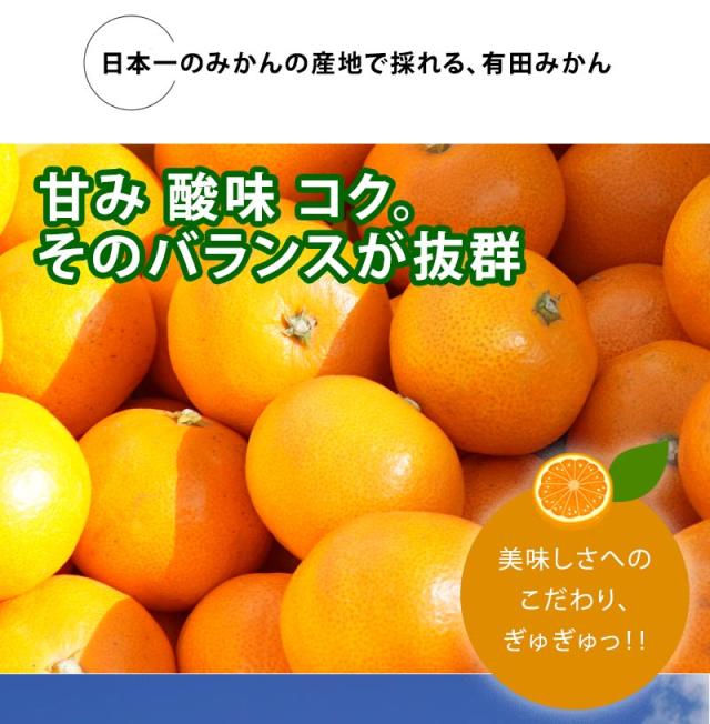 みかんの甘味、酸味、コクが抜群!