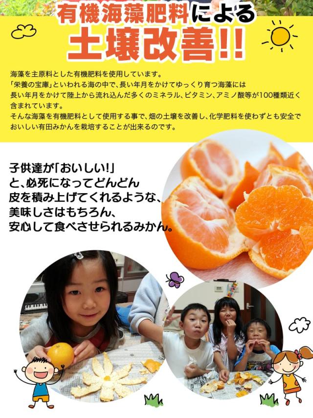 土壌改善により、より美味しいみかんが出来上がります