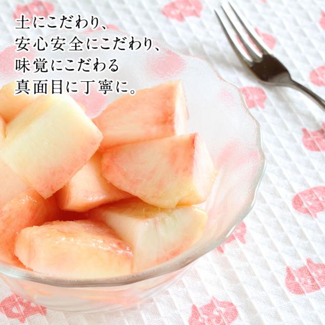 あら川の桃 桃の最高級ブランド!和歌山県産