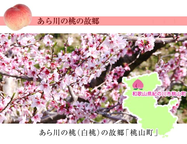 あら川の桃の故郷