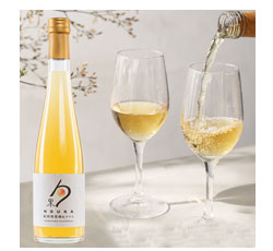 紀州フルーツワイン 梅