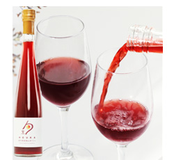 紀州フルーツワイン 赤梅