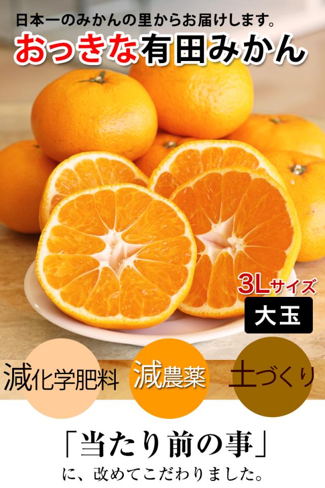 美味しい有田みかんをお届けします。