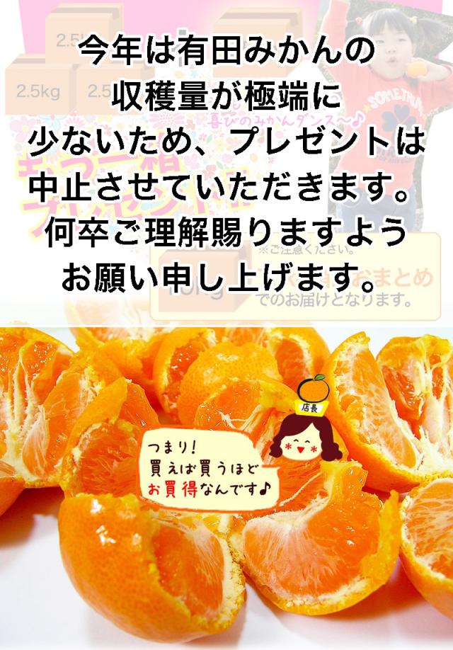 有田みかんが3箱ご購入でプラス一箱プレゼント!