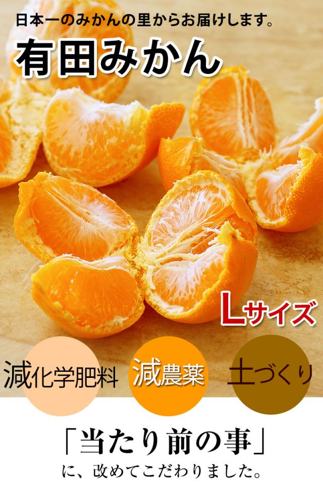 美味しい有田みかんをお届けします。