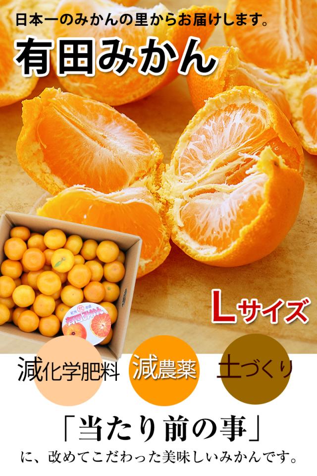 低農薬で丁寧に栽培。その気持ちで作られる美味しい有田みかん