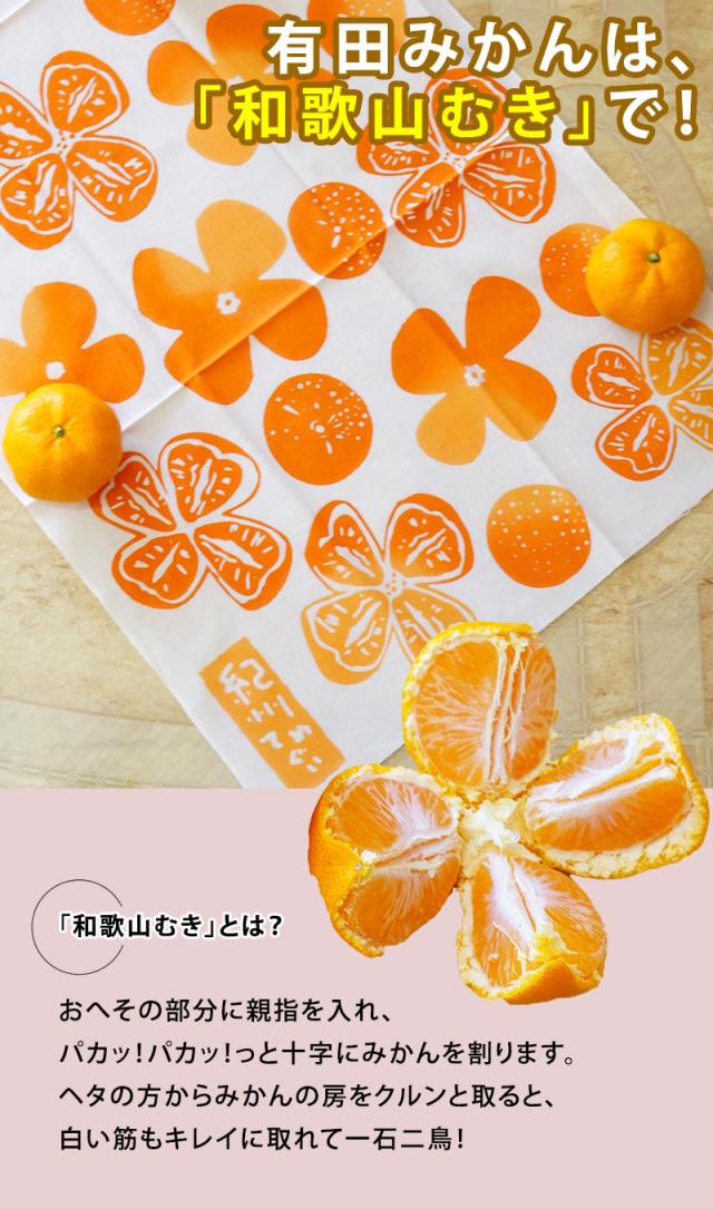 有田みかんは和歌山むきでお召し上がりください!