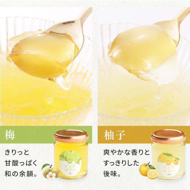 お酢とはちみつのピュアゼリー 90g×6本