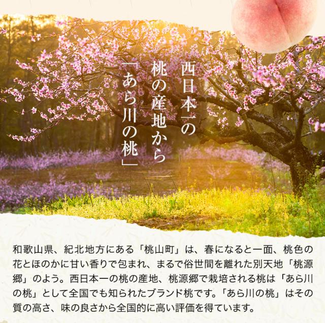 あら川の桃 桃の最高級ブランド!和歌山県産