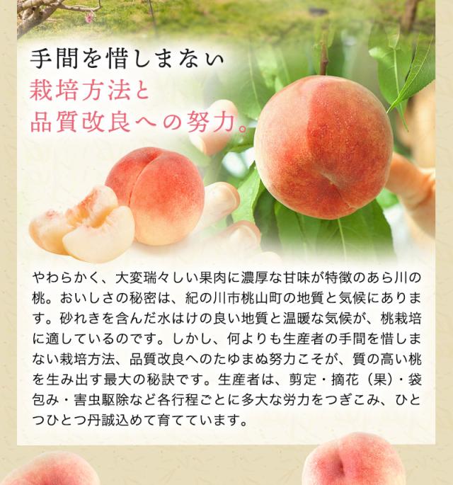 あら川の桃 桃の最高級ブランド!和歌山県産
