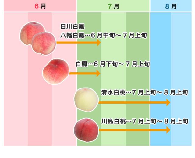 あら川の桃 桃の最高級ブランド!和歌山県産