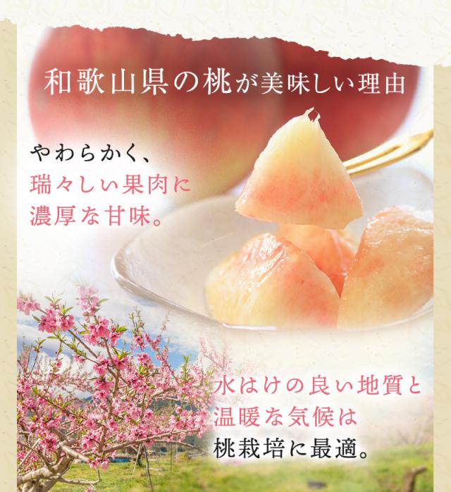 和歌山の桃 和歌山県産