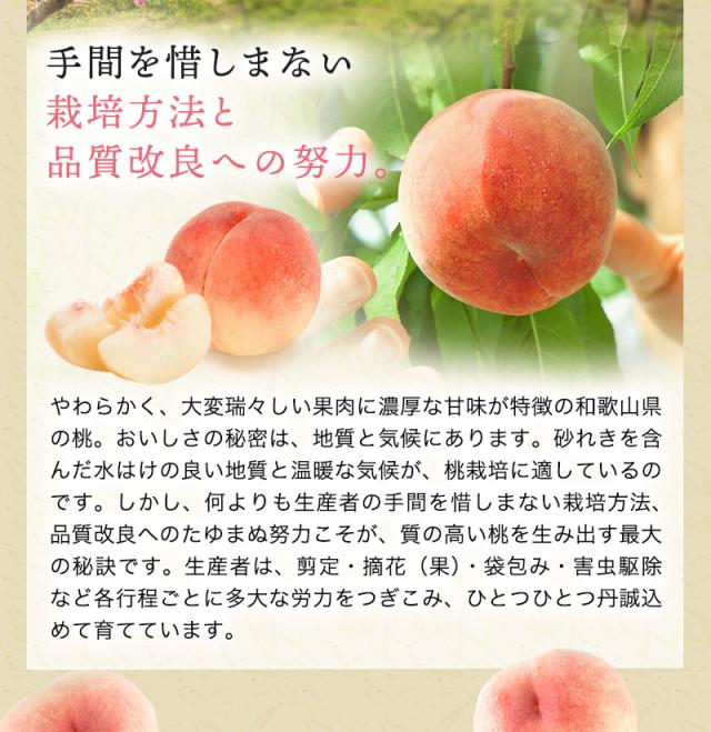 和歌山の桃 和歌山県産