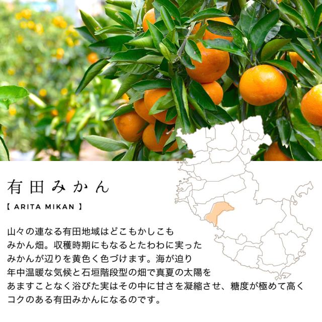 有田みかん
