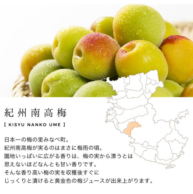 紀州南高梅