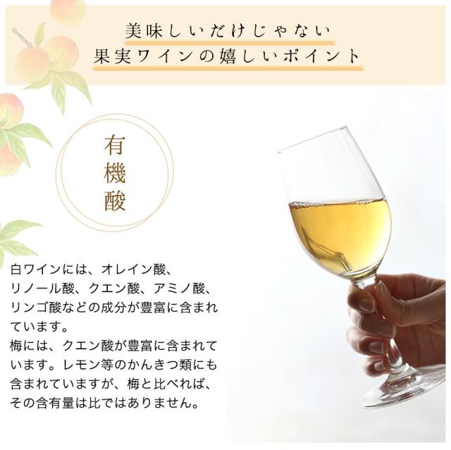 美味しいだけじゃない果実ワインの嬉しいポイント