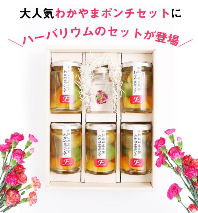 わかやまポンチハーバリウム