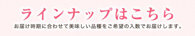 ラインナップはこちら
