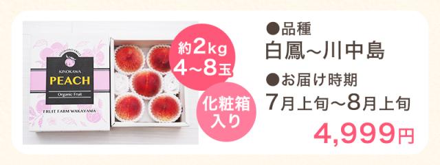 4〜8玉