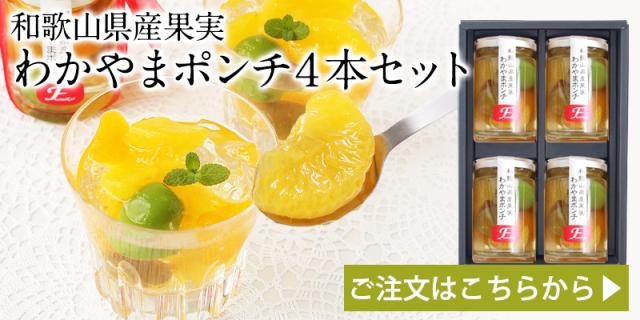 わかやまポンチ4本セット