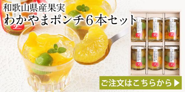 わかやまポンチ6本セット