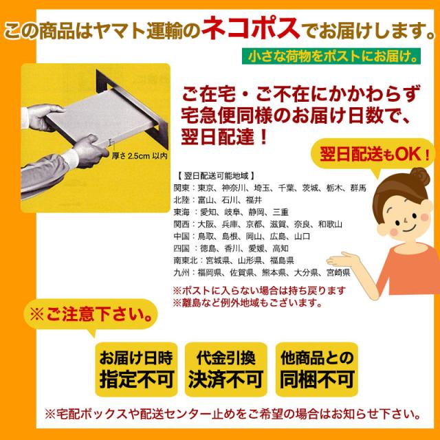ネコポス便でポスト投かん！