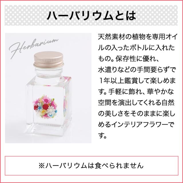 わかやまポンチハーバリウム