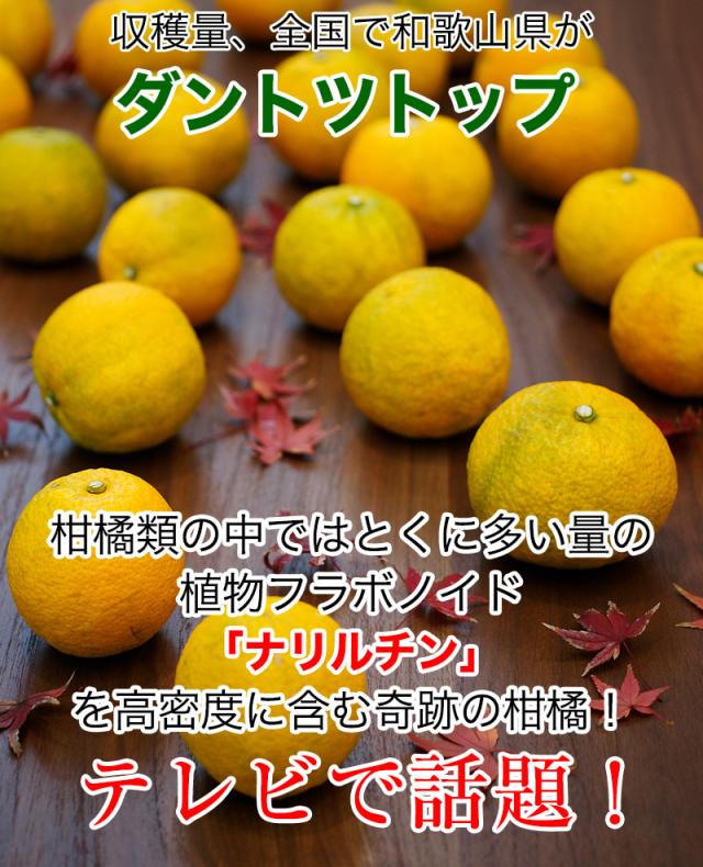 和歌山県産 無添加 じゃばら 粉末 ジャバラ