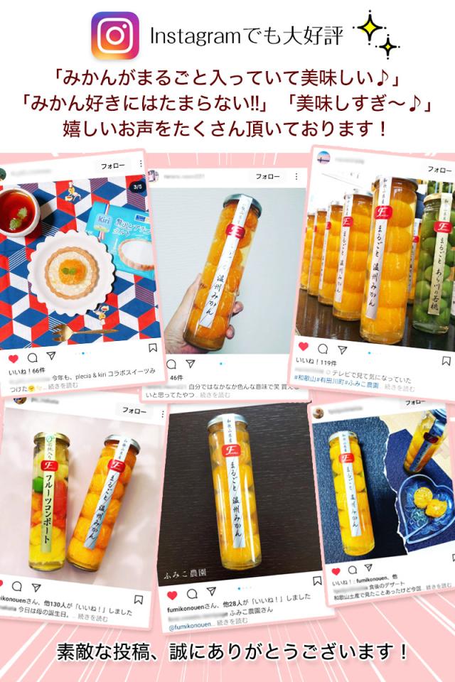 和歌山県産果実のまるごとごろっと入ったみかんコンポート