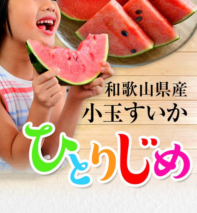 小玉スイカ和歌山県産ひとりじめすいか