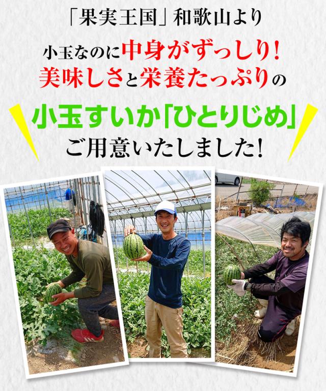 美味しさと栄養たっぷり!小玉スイカひとりじめ