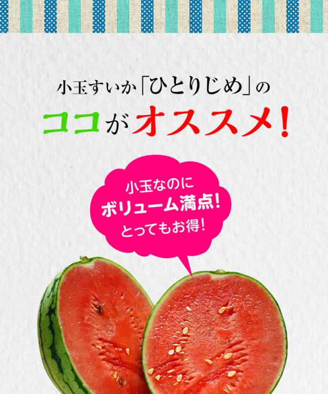 紀州の美味しい小玉スイカ