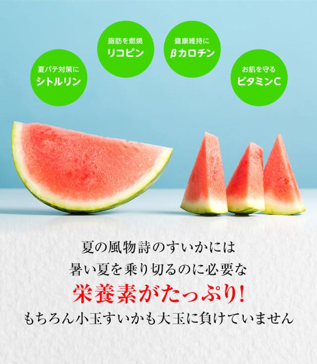 すいかには暑い夏を乗り切る栄養素がたっぷり!