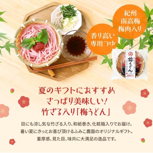紀州冷し梅うどんセット(大盛り5人前)
