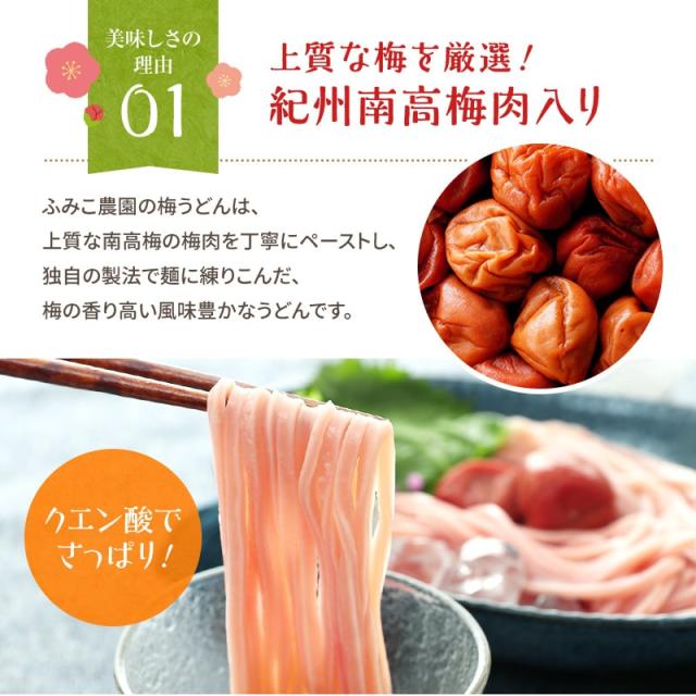 紀州冷し梅うどんセット(大盛り5人前)