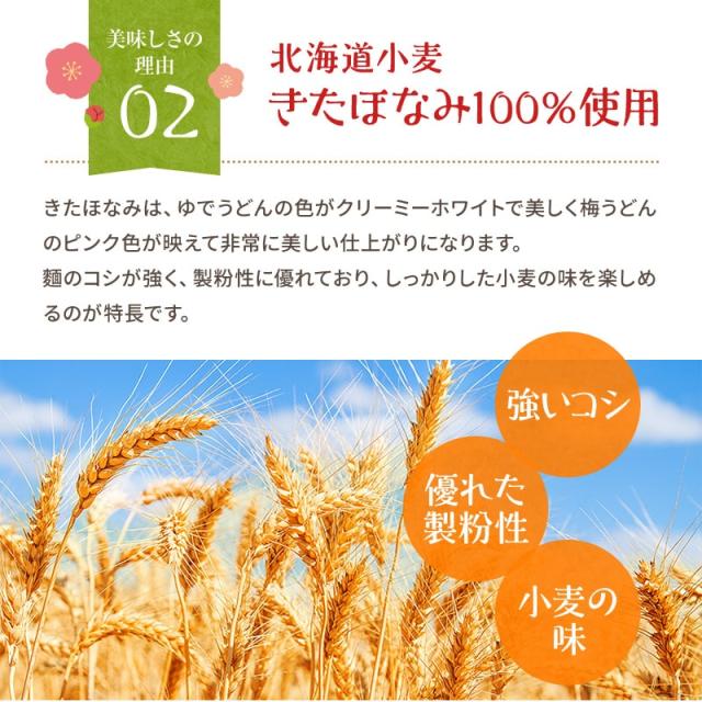 紀州冷し梅うどんセット(大盛り5人前)