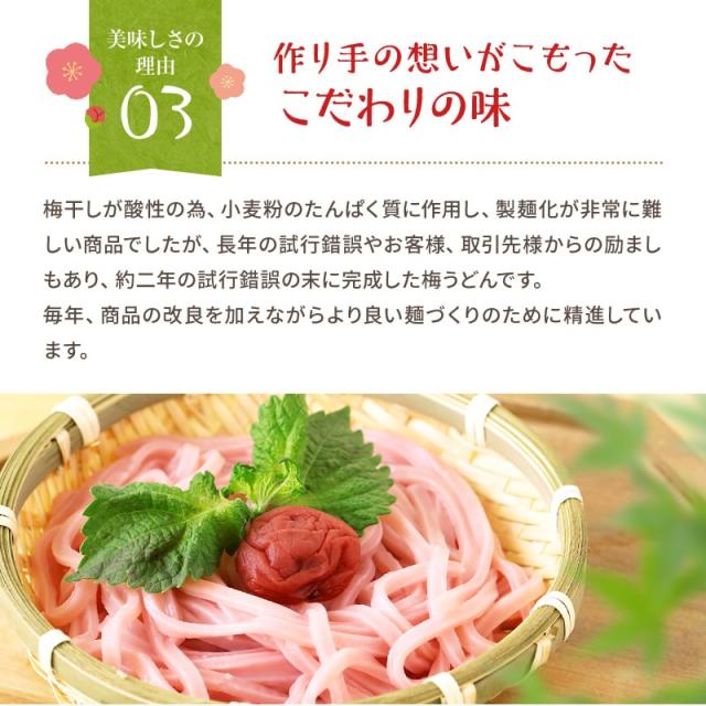 紀州冷し梅うどんセット(大盛り5人前)