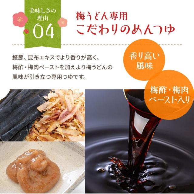 紀州冷し梅うどんセット(大盛り5人前)