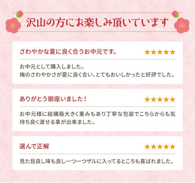 紀州冷し梅うどんセット(大盛り5人前)