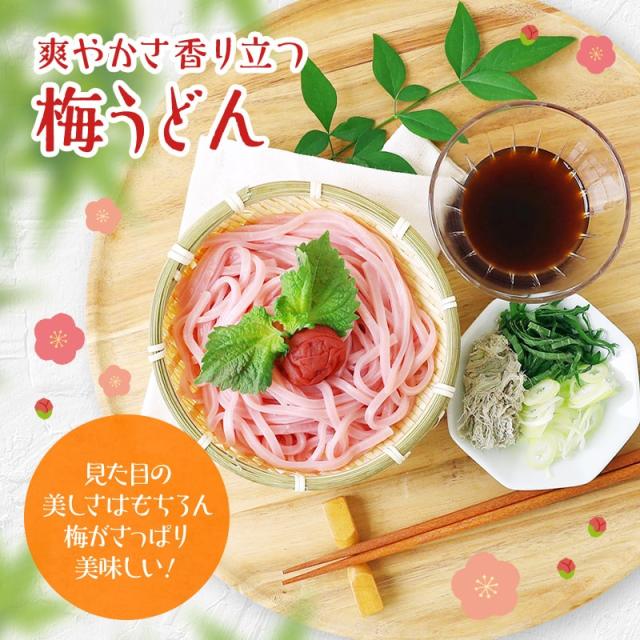 紀州冷し梅うどんセット(大盛り5人前)