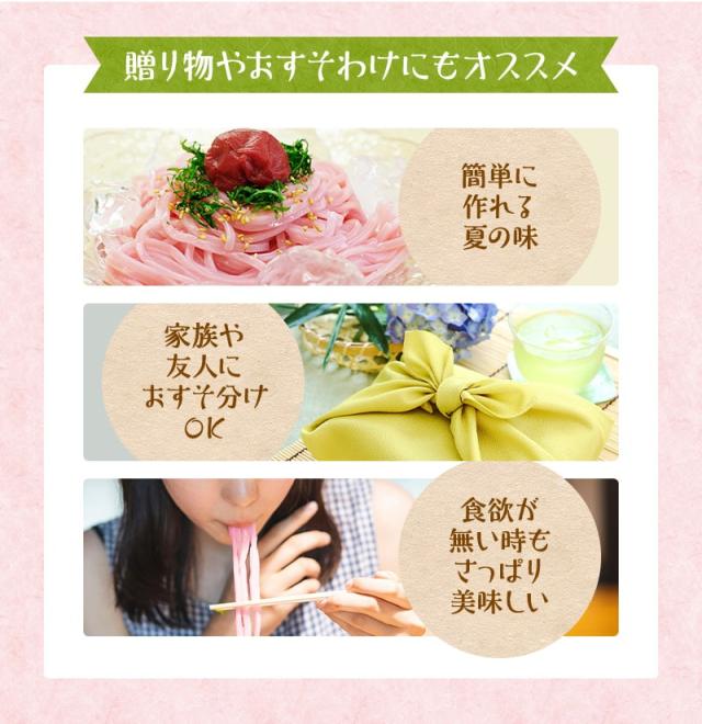 紀州冷し梅うどんセット(大盛り5人前)