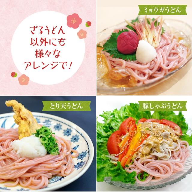 紀州冷し梅うどんセット(大盛り5人前)