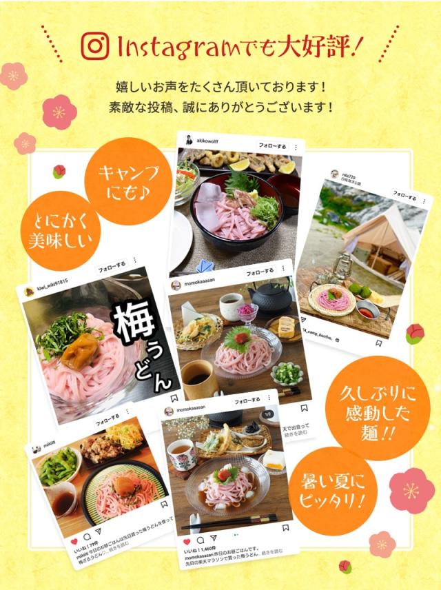 紀州冷し梅うどんセット(大盛り5人前)