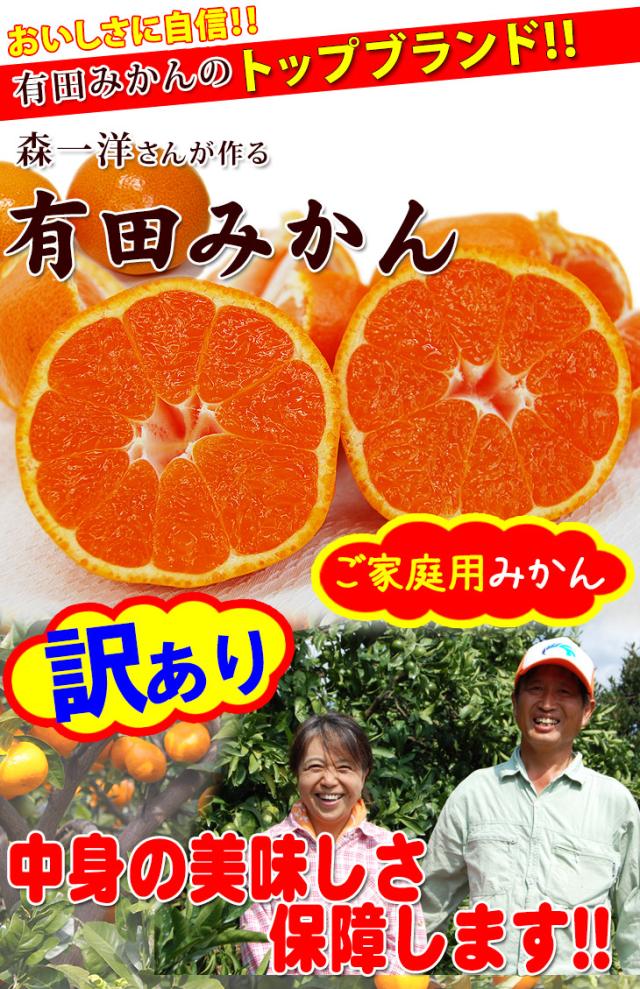 有田みかん、美味しさに自信の訳ありご家庭用ミカン