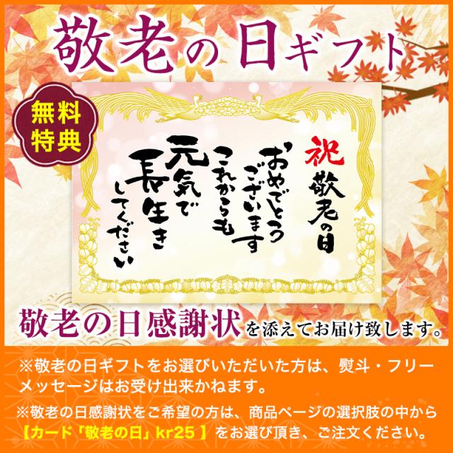 Respect for the aged day Card