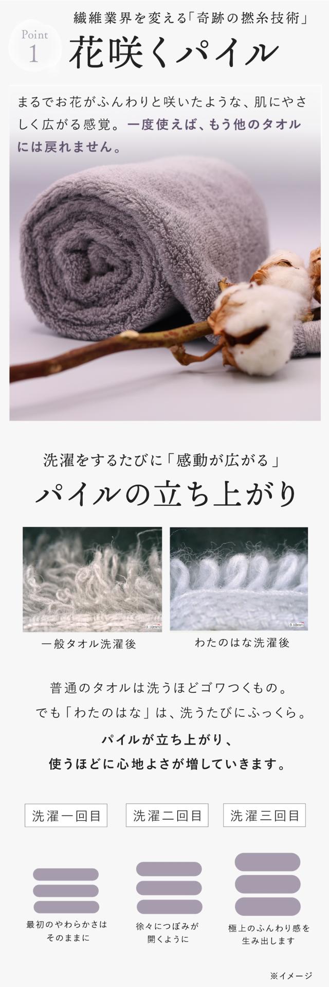 わたのはな no1 lp08